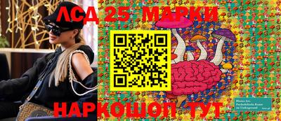 прущие грибы Апшеронск