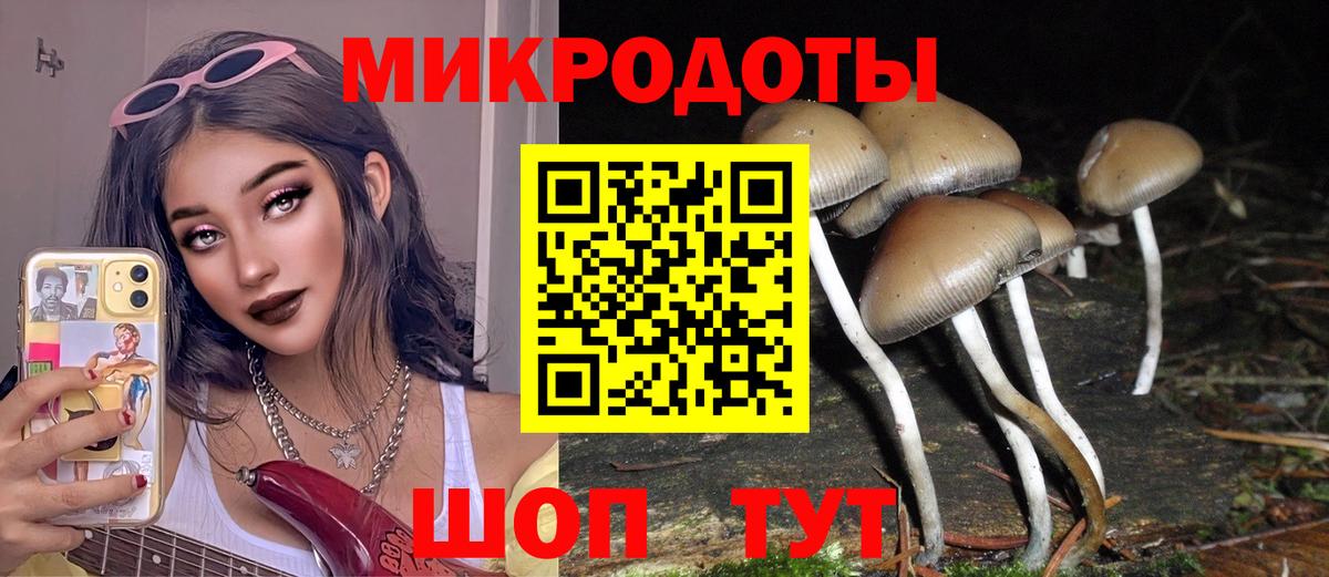 Псилоцибиновые грибы Magic Shrooms  Вход с VPN  Псилоцибиновые грибы MAGIC MUSHROOMS  Волжский 