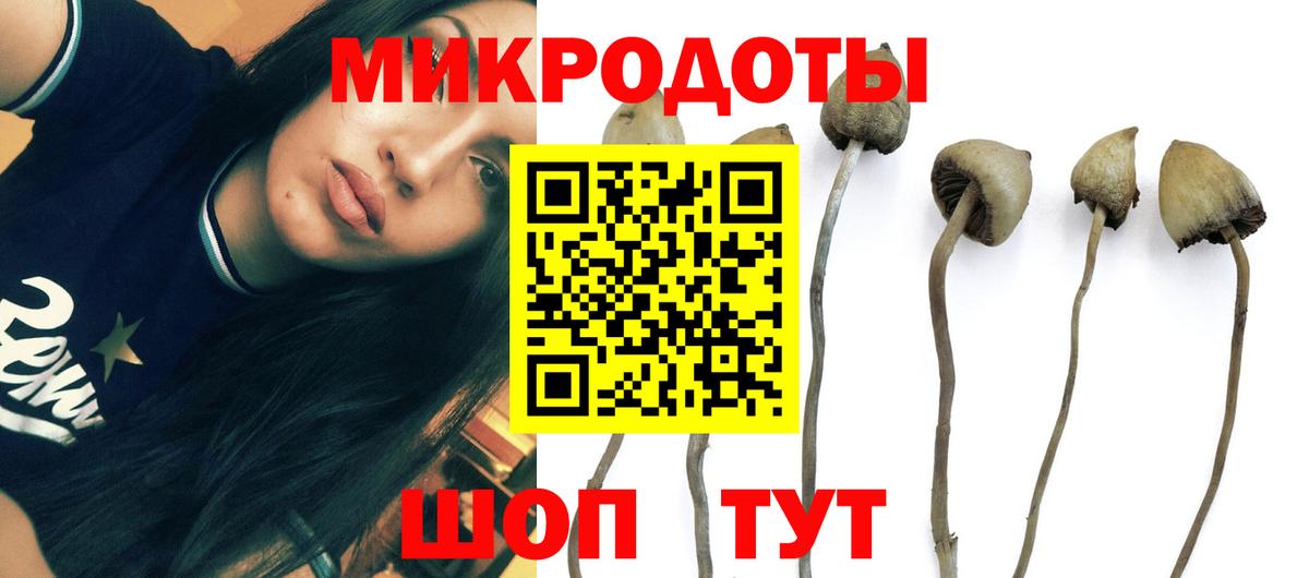 Галлюциногенные грибы GOLDEN TEACHER Волжский