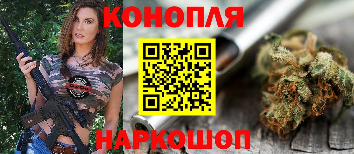 Конопля гибрид Волжский